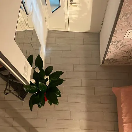 Apartmán House Sasymary