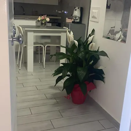 House Sasymary * ナポリ